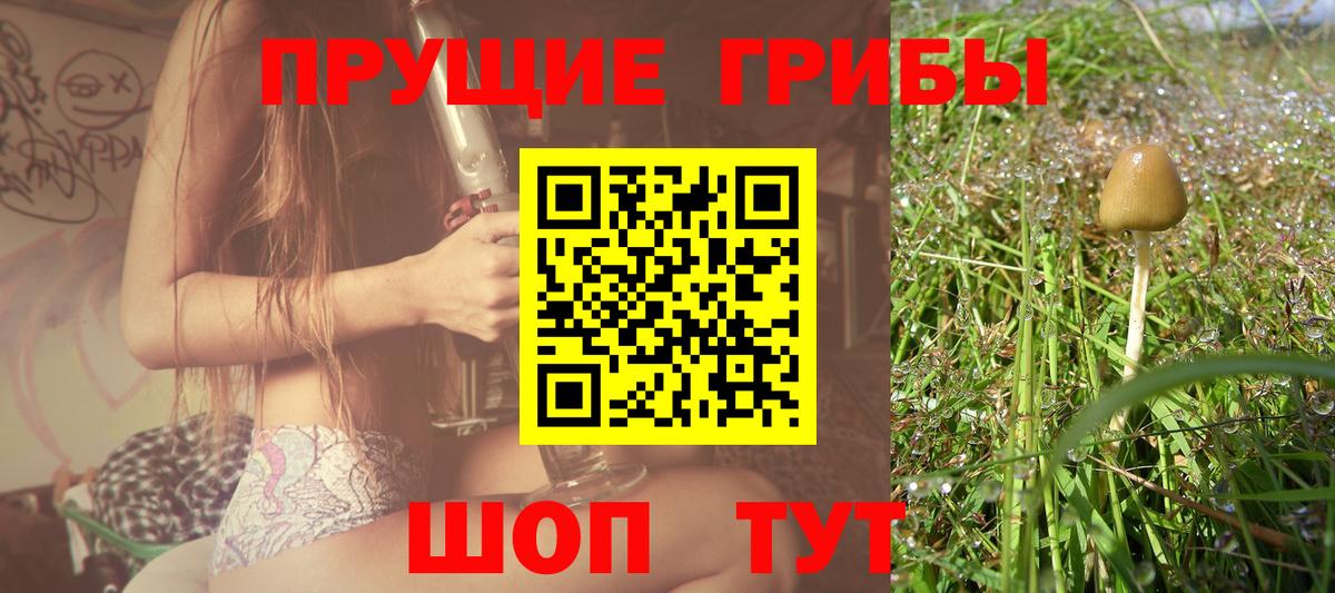 Псков  Псилоцибиновые грибы MAGIC MUSHROOMS  Вход с VPN 